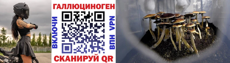 Галлюциногенные грибы Cubensis  купить закладку  Верхотурье 
